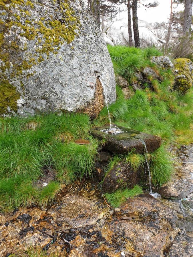 Casa Dos Cisnes - Serra Da Estrela - Sao Paio - Gouveia - Portugal Exterior foto
